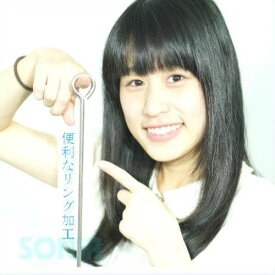 【20%ポイントバック】【即納】SONIA（ソニア） ステンレス製 水中ポインター（水中指示棒）