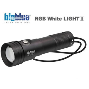 bigblueirbOu[j RGB White LIGHT II LEDCg Cg _CrO Be