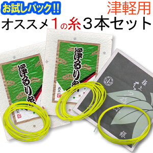【送料無料】【お試し三味線糸パック】02津軽・太棹三味線用 オススメ1の糸(絃・弦)セット 絹糸(寿極上糸・はつね銀付絹糸)【メール便送料無料】【代引の場合は宅配便料金】