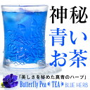 【ハーブティー】美人をつくる青いお茶 バタフライピー100％ ブルーハーブ ティー ( ティーバッグ 2g× 8個入 )× 2袋セット ＜ノンカフェイン・無着色... ランキングお取り寄せ