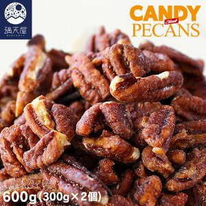 y󂠂zLfBs[Jibc NbV^Cv 600g(300g×2) ( yJibc LfBR[g L[ َq XC[c  t ) 1܂1,990~