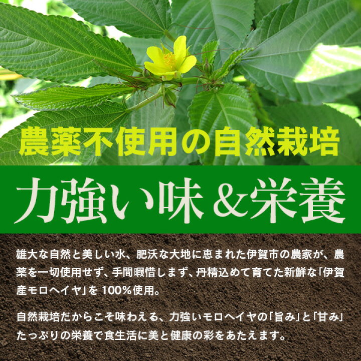 楽天市場 半額クーポンでおトク 国産 モロヘイヤパウダー さらっと まるごとモロヘイヤ 80g 無添加 無着色 粉末 満天屋 Mantenya
