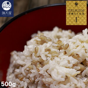 y󂠂zL@JASF؁ L@  Y 500g (۔ G  ނ)( 2025.11.11)