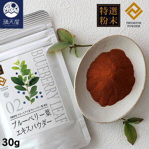 y󂠂zI u[x[tGLXpE_[ 30g `{茧Y rbgACnu[x[t gp` ( u[x[pE_[ Y  Y F |tFm[ e N 
