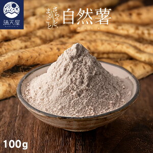 y󂠂zY RpE_[ 100g ` Ƃ܂邲ƎR ` ( R  ˂񂶂 WlW }C R 啪Y Y F ۑsgp N e WX^g