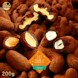 【お試し訳あり】ミックスナッツ塩ショコラ 200g（ チョコレート ナッツ 塩入り ソルト 塩チョコ 塩チョコレート くるみ アーモンド カシューナッツ バレンタインチョコ ）