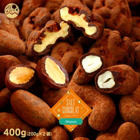ミックスナッツ塩ショコラ 200g ×2袋（400g） （ チョコレート ナッツ 塩入り ソルト 塩チョコ 塩チョコレート くるみ アーモンド カシューナッツ バレンタインチョコ ）