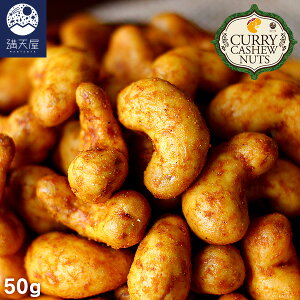 【お試し訳あり】カレーカシューナッツ 〜こく旨 スパイス仕立て〜 ( おつまみ ナッツ カレー味 スパイス おやつ 味付け お茶請け お茶菓子 豆菓子 ギフト 酒の肴 )
