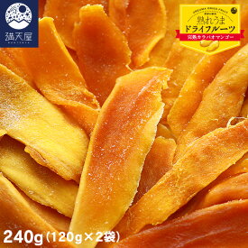 ドライマンゴー 240g（120g ×2袋セット） ～完熟カラバオマンゴー～（ 保存料、着色料不使用 無漂白 フィリピン産 カラバオ種 ドライフルーツ）