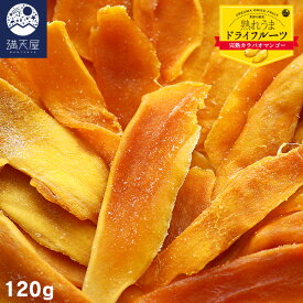 【訳あり】ドライマンゴー 120g ～完熟カラバオマンゴー～（ 保存料、着色料不使用 無漂白 フィリピン産 カラバオ種 ドライフルーツ）（2026.05.17）