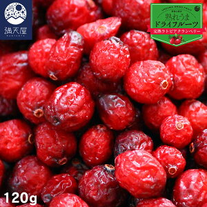 y󂠂zhCNx[ 120g `ngrANx[`iۑsgp Fsgp Y grAY hCt[c cRPj