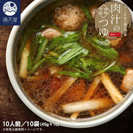 コクうま肉汁のつゆ（濃縮タイプ）45g ×10袋セット（ うどん そば つゆ 麺 めんつゆ 万能つゆ そばつゆ うどんつゆ かけつゆ 出汁 濃縮 調味料 ）