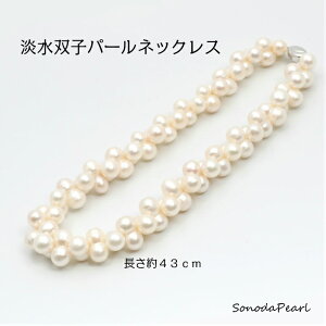 W ^ p[ lbNX oqp[ ^J[ zCgn SILVER ؂₩ o[eB[