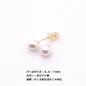  ^ sAX 6.5mm ` 7mm zCgn O[n p[ K18 K14WG  Zj[ tH[} JWA  Ǝ  w l Mtg v[g