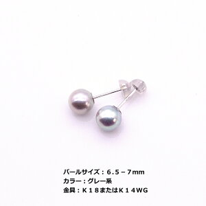  ^ sAX 6.5mm ` 7mm zCgn O[n p[ K18 K14WG  Zj[ tH[} JWA  Ǝ  w l Mtg v[g