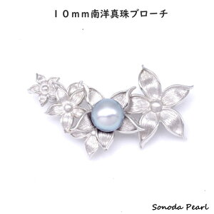 p[ u[` m  ^ 10mm O[n p[ Vo[ t[  tH[} Zj[gp IP[W  Ǝ  w