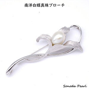 p[ u[` m  ^ 10.5mm zCgn p[ Vo[  t[ tH[} Zj[gp IP[W  Ǝ  w