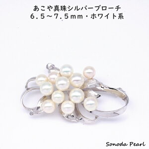 yAEgbgz ^ u[` 6.5`7.5mm zCgn p[ Vo[ tH[} Zj[gp  Ǝ  w