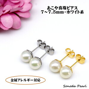 AM[Ή  ^ sAX 7`7.5mm zCgn p[ T[WJXeX  Zj[  Ǝ  w lR|Xz