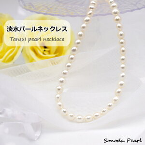 Wp[ lbNX zCgn 6mm {^^ Zj[  Ǝ  w Mtg v[g