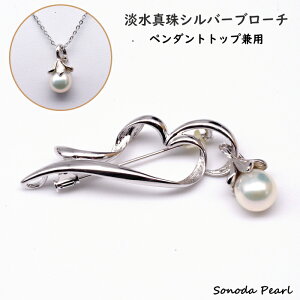 p[ u[` W ^ 10mm zCgn y_ggbv p Vo[ Silver `F[t tH[} Zj[ IP[W  Ǝ  w v[g Mtg