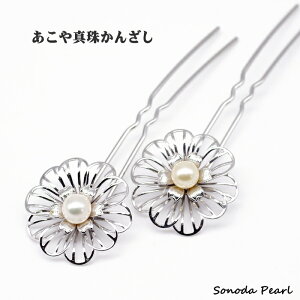 ^ 񂴂  9mm 8.5mm zCgn N[n p[ a