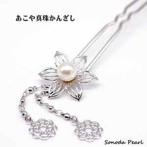 ^ 񂴂  7.5mm zCgn p[ a