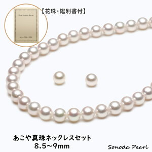 yԎӕʏtz^ lbNX Zbg 8.5`9mm  l 蕨 Mtg