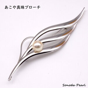 p[ u[` AR ^ 8mm N[n  tH[} Zj[gp [t ؂̗t Vo[