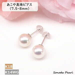 p[ sAX AR ^ 7.5-8mm K18YG K14WG zCgn i nCNIeB nCO[h  Zj[ IP[W  Ǝ w  l Mtg v[g