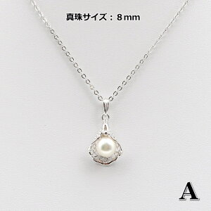  ^ y_g fUC2 zCgn p[ 8mm Vo[ Silver Mtg v[g