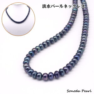 Wp[ lbNX ubNn ^ ό` AWX^[t  Mtg 蕨