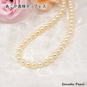 ^ lbNX N[n sNn p[ 6.5-7mm  tH[} IP[W  Ǝ  w Mtg 蕨