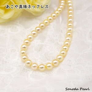 ^ lbNX N[n CG[n p[ 7-8mm  tH[} IP[W  Ǝ  w Mtg 蕨