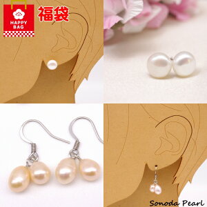 y2026܁zIׂ Wp[ sAX 3_  AM[Ήgp T[WJXeX nbs[obO Vv  NlR䂤pPbgz