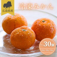 【お買い物マラソンポイント5倍】【今一番売れている】 冷凍 みかん ~3袋 10個入り 冷凍みかん 冷凍フル…
