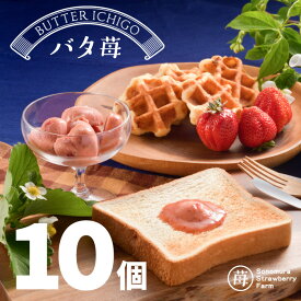 【農家直送】冷凍いちごバター バタ苺 10個入り／ フルーツバター 添加物なし
