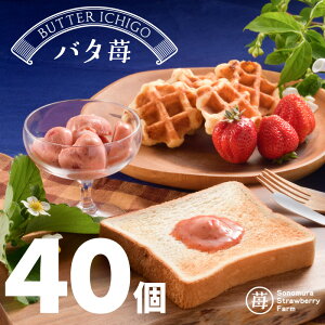 y_ƒzⓀo^[ o^ 40^ t[co^[ YȂ