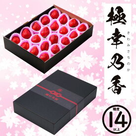 【農家直送】★糖度14度以上保証★ 極幸乃香（きわみさちのか）《黒》熊本県産