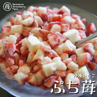 【農家直送】にっぽんの宝物公式認定 冷凍いちご 熊本県産『ぷち苺』 500g×2袋 ／ コロコロ サイコロ 冷…