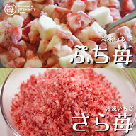 【農家直送】にっぽんの宝物公式認定 冷凍いちご 熊本県産『ぷち苺』＋『さら苺』 500gずつ2袋 ／ コロコ…