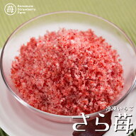 【農家直送】にっぽんの宝物公式認定 冷凍いちご 熊本県産『さら苺』 500g×2袋 ／ サラサラ パウダー 冷…