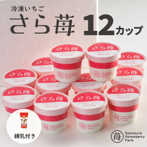 y_ƒzɂۂ̕󕨌F Ⓚ F{Yw䕁x 50g×12Jbv t ^ TT pE_[ Ⓚt[c ЂXC[c Y ⓀC`S Mtg 蕨  c