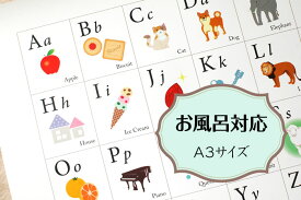 お風呂ポスター「アルファベット表」ABC表　A3　アルファベットチャート ポスター インテリア