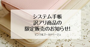 yAizI}`ƌv[ VXe蒠@fBXJEgi@ ƌv ܕ t@C ܕ pX|[gP[X ʒ 蒠 q蒠 J[hP[X h 