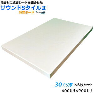 h{[hZS@30mm^Cv600mm×900mm 6x64kg/m3GW+5mmՉV[g