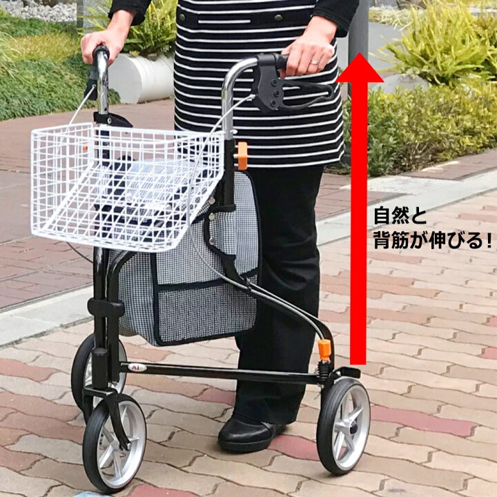 楽天市場】インタージェット AIJ トライウォーカー チドリブラック 