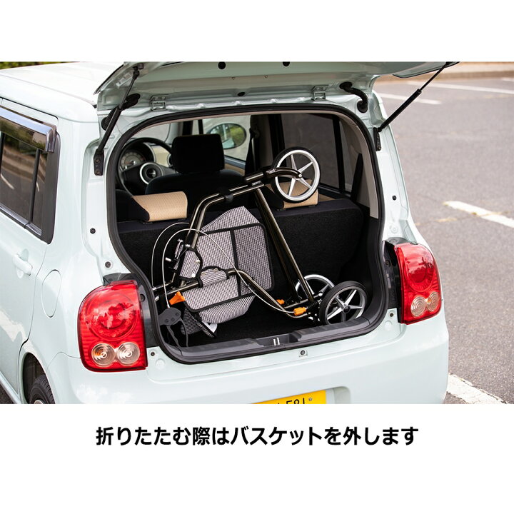 楽天市場】インタージェット AIJ トライウォーカー チドリブラック 