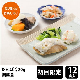 メディカルフーズ 【初回購入限定】 たんぱく調整食20g 試食12食セット