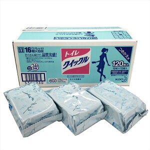 ԉ gCNCbN ԉ gCNCbN߂p 120i10×12jP[X̔p